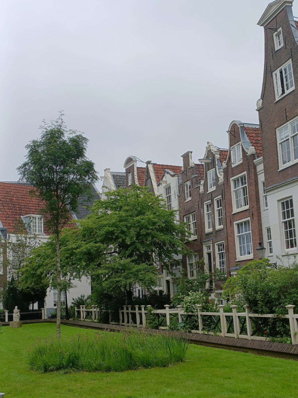 Scopri Amsterdam: attività accessibili e gratuite