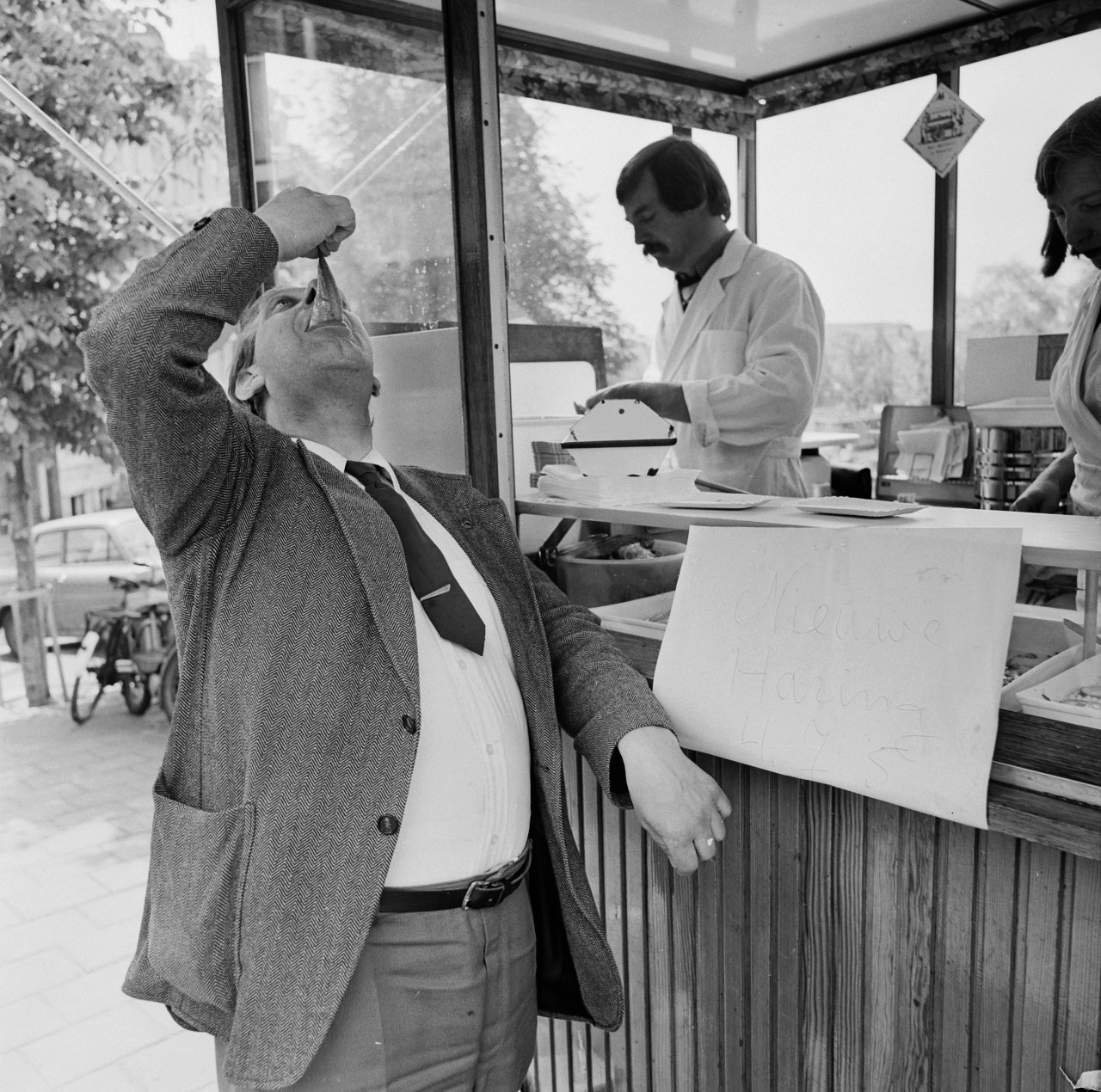 Hollandse Nieuwe Haring The Dutch herring Blog