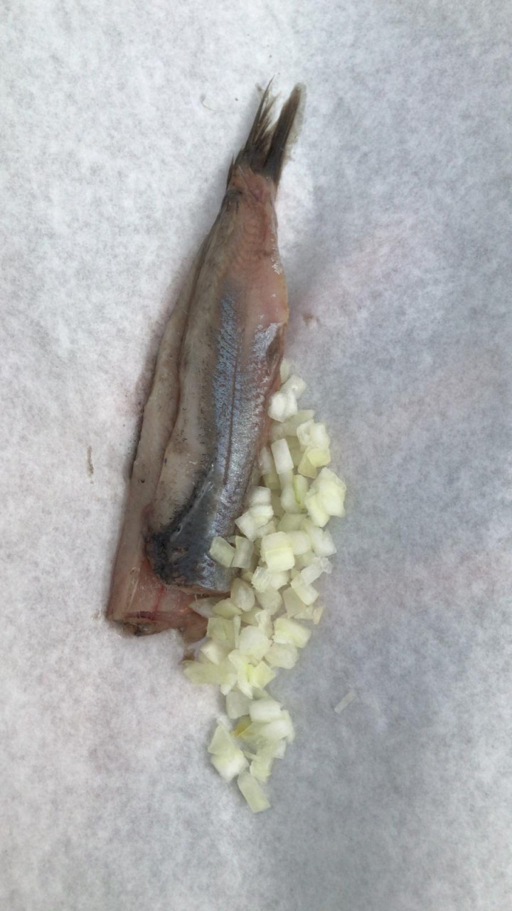 Hollandse Nieuwe Haring The Dutch herring Blog