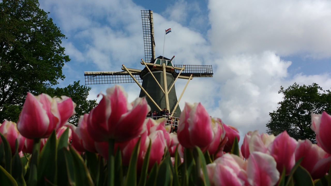 Keukenhof 2023 - Guida al parco con info su accessibilità