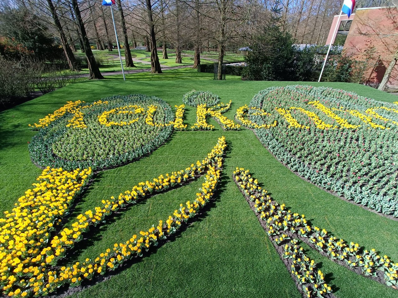 Keukenhof 2024 - Guida all'accessibilità del parco