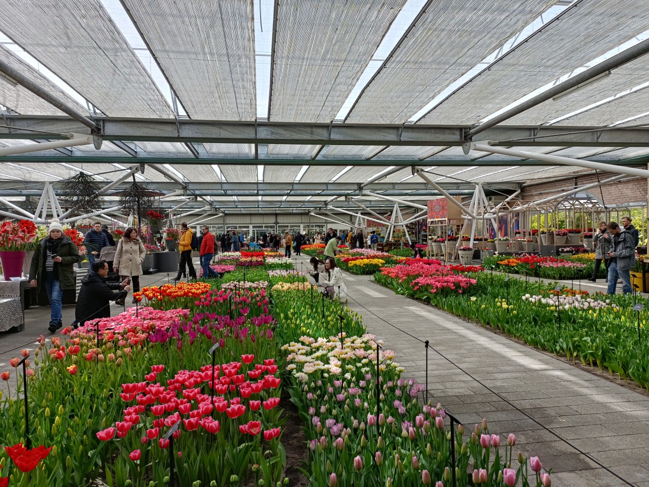 keukenhof